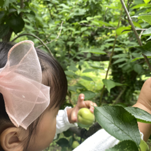 共に創る地域生活、暮らしのスタートからその先まで